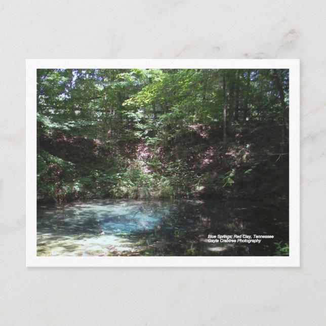 Postal Primavera azul en arcilla roja, Tennessee (Anverso)