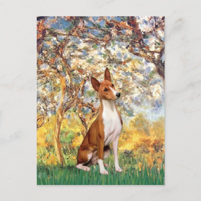 Postal Primavera - Basenji (Anverso)