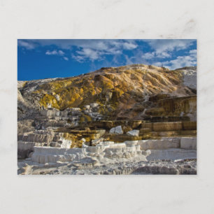 Postal Primavera Caliente Mammosa