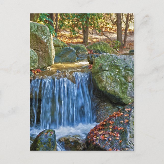 Postal Primavera de agua azul (Anverso)