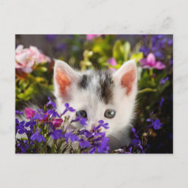 Postal Primavera de gatitos de corte