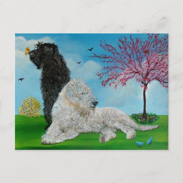 Postal Primavera de Labradoodle (Anverso)