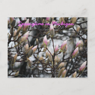 Postal Primavera de Michigan