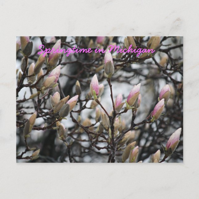 Postal Primavera de Michigan (Anverso)