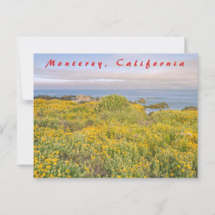 Postal Primavera de Monterey