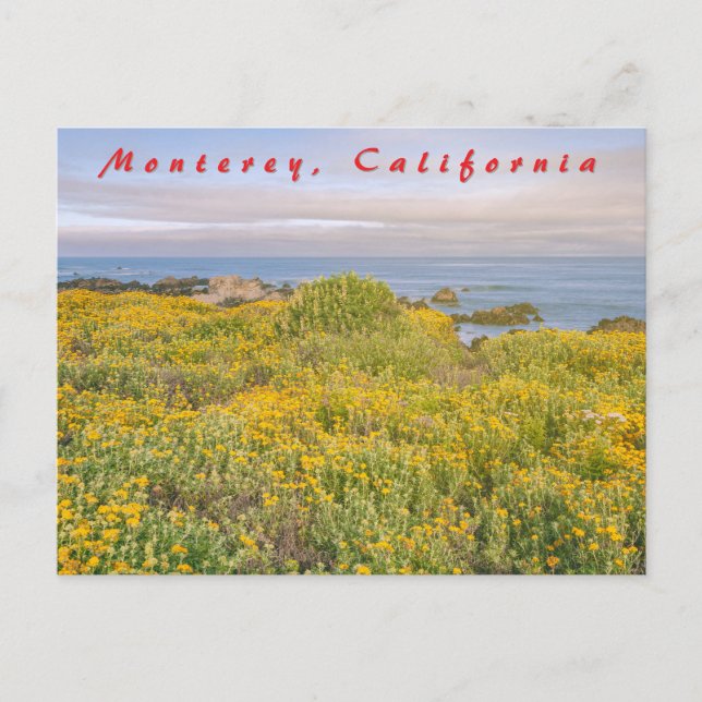 Postal Primavera de Monterey (Anverso)