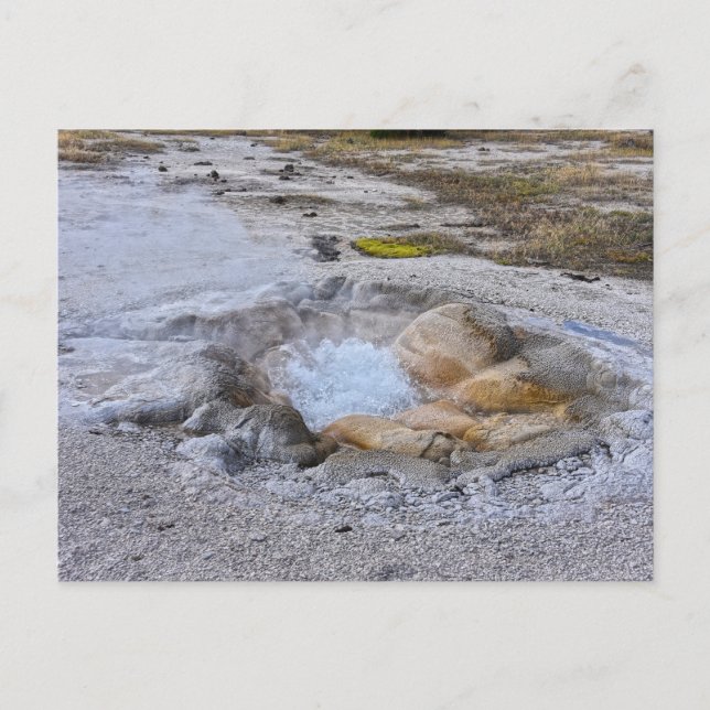 Postal Primavera de Shell en el Parque Nacional Yellowsto (Anverso)