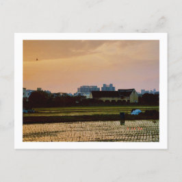 Postal primavera de verano de 2010