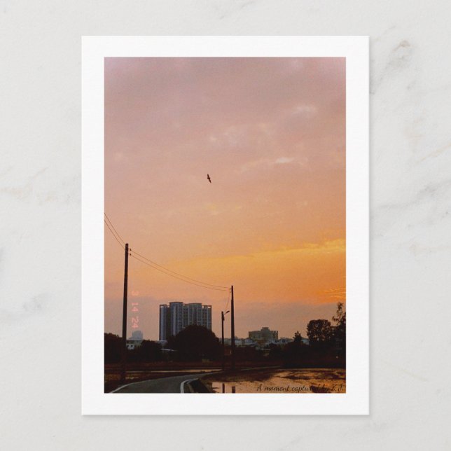 Postal primavera de verano en la carretera nacional (Anverso)