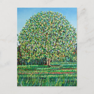 Postal Primavera del árbol de expansión