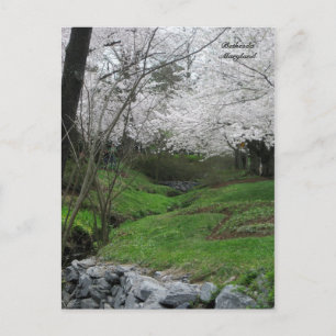 Postal Primavera en Bethesda, Maryland