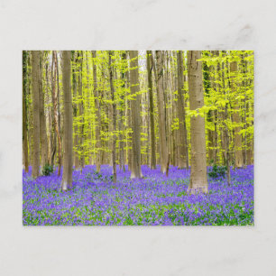 Postal Primavera en el bosque azul