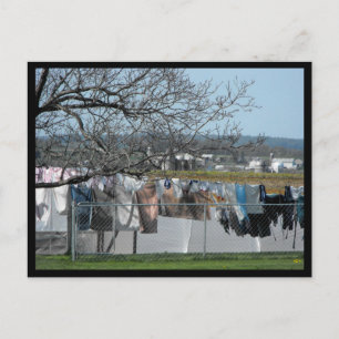 Postal ~ Primavera en el condado de Lancaster ~ 56