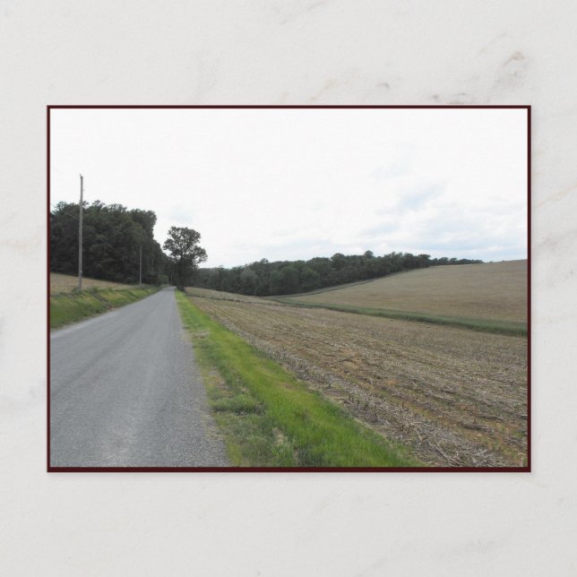 Postal ~ Primavera en el condado de Lancaster ~ 70 (Anverso)