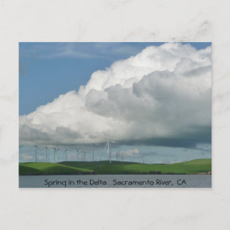 Postal Primavera en el delta