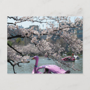Postal Primavera en el estanque Shinobazu: Ueno, Tokio