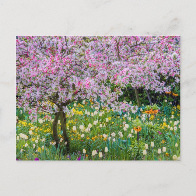 Postal Primavera en el jardín de Claude Monet (Anverso)