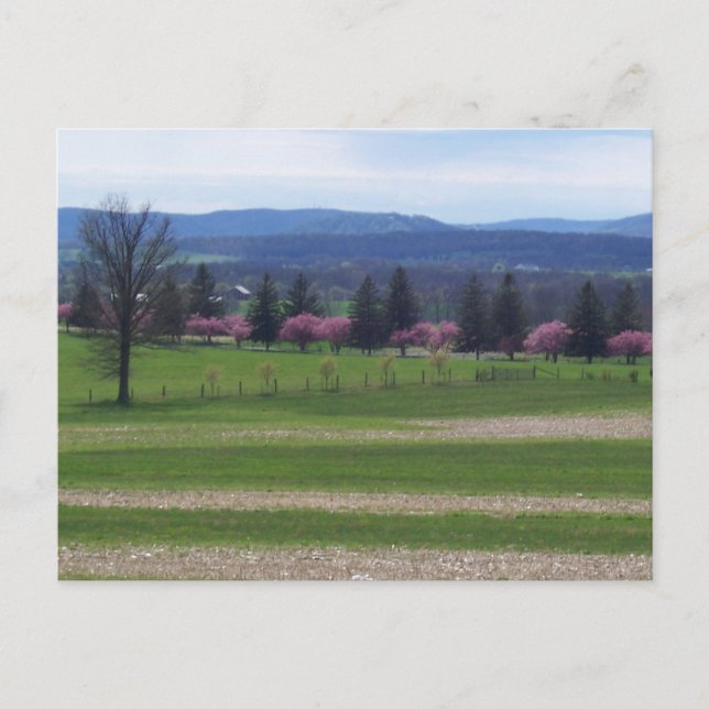 Postal Primavera En Gettysburg (Anverso)