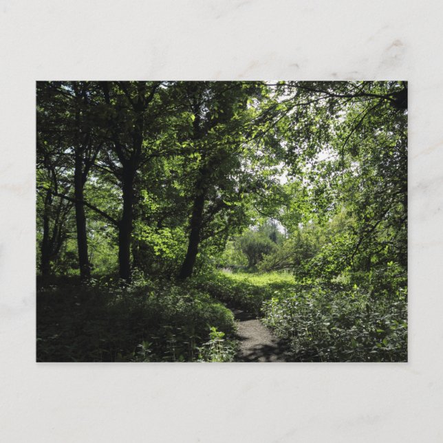 Postal Primavera en los bosques 03 (Anverso)
