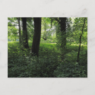 Postal Primavera en los bosques 04