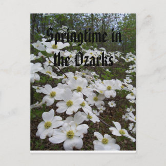 Postal Primavera en los Ozarks