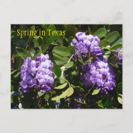 Postal Primavera en Texas