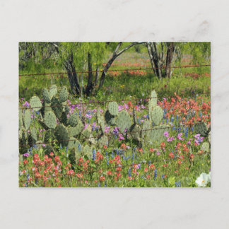 Postal Primavera en Texas