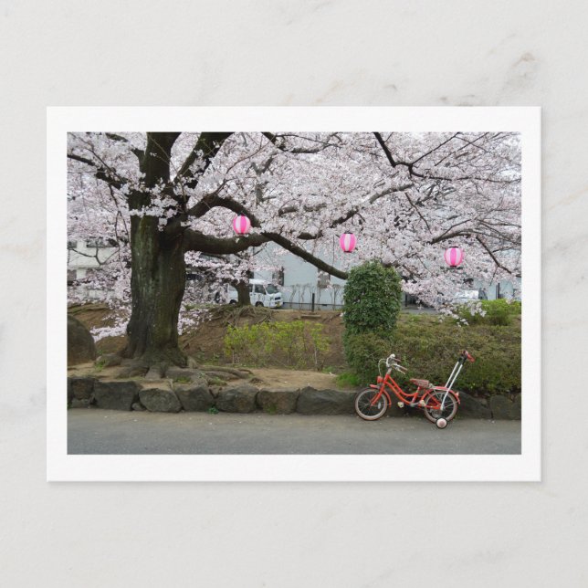 Postal Primavera en Tokio Occidental (Anverso)