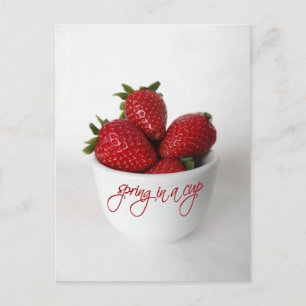 Postal primavera en una taza