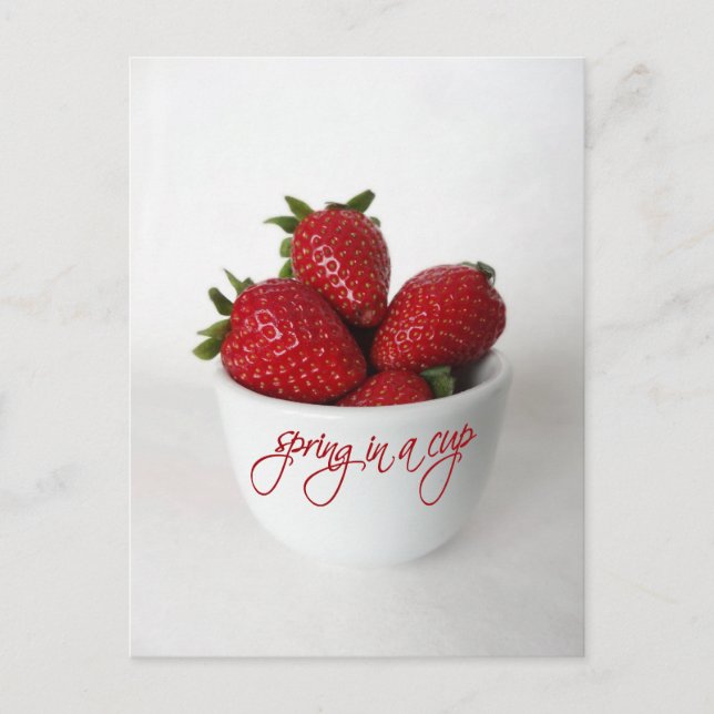 Postal primavera en una taza (Anverso)