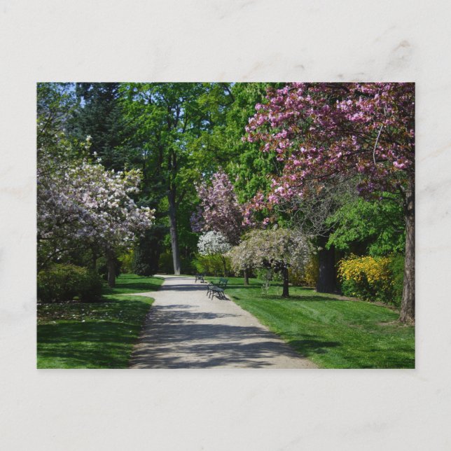 Postal Primavera En Viena Austria (Anverso)