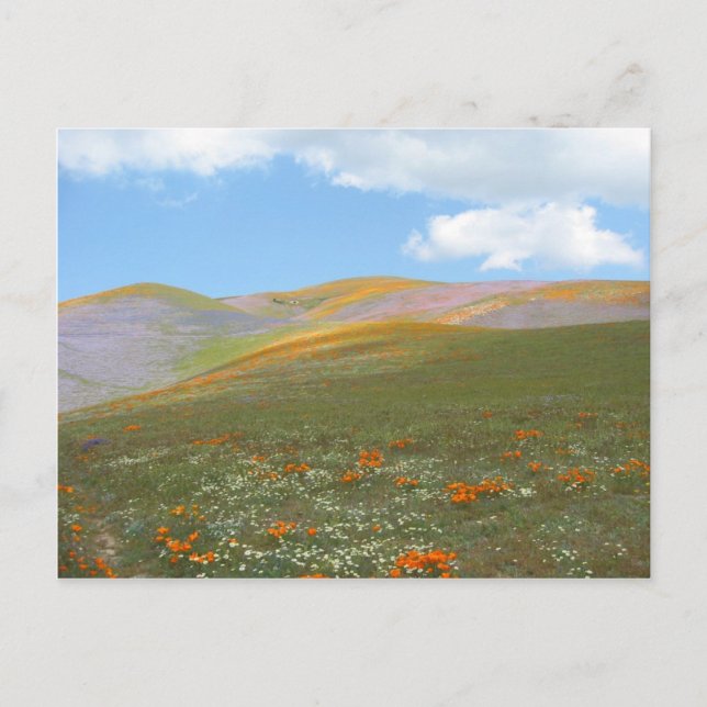 Postal Primavera Lndscp de C (Anverso)