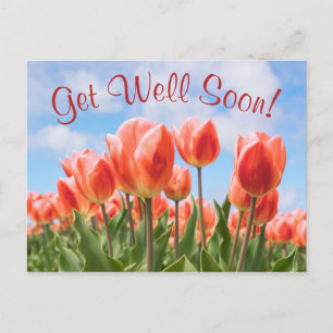 Postal Primavera Tulips Sunny se pone bien pronto postale