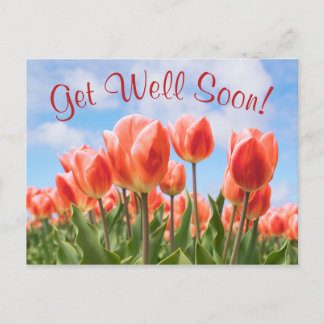 Postal Primavera Tulips Sunny se pone bien pronto postale