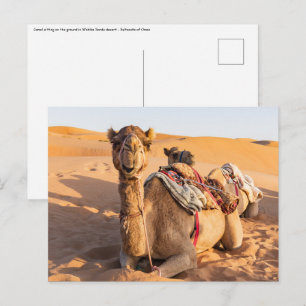 Postal Primer plano de camello en el desierto de Omán