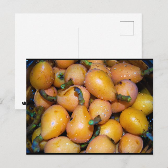 Postal Primer plano de la fruta de níspero (Anverso / Reverso)