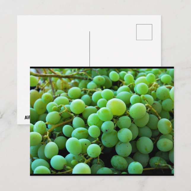 Postal Primer plano de uvas blancas (Anverso / Reverso)