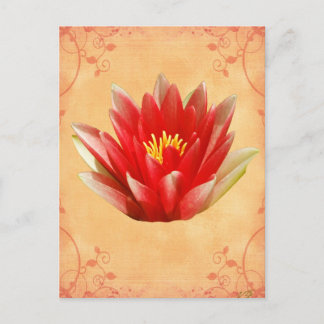 Postal Primer regalo de Chakra