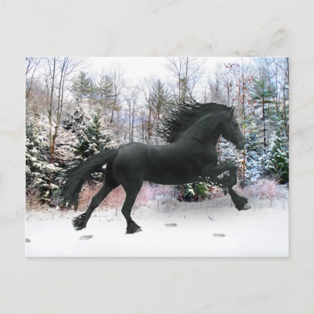 Postal "Primera carrera de nieve" (Anverso)