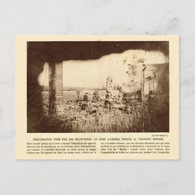 Postal Primera Guerra Mundial, Francia, árboles marcan tr (Anverso)