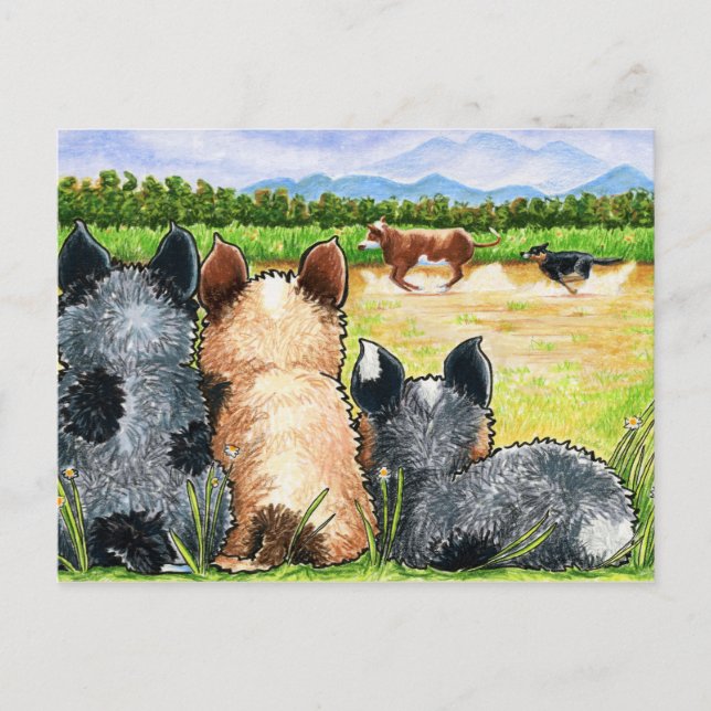 Postal Primera lección de Andie (Anverso)