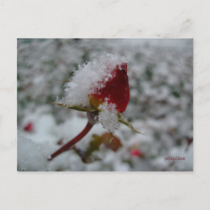 Postal primera nevada