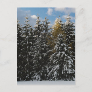 Postal Primera Nieve 2009