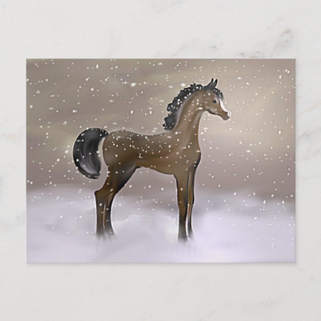 Postal "Primera Nieve" ~ Postcard (Anverso)