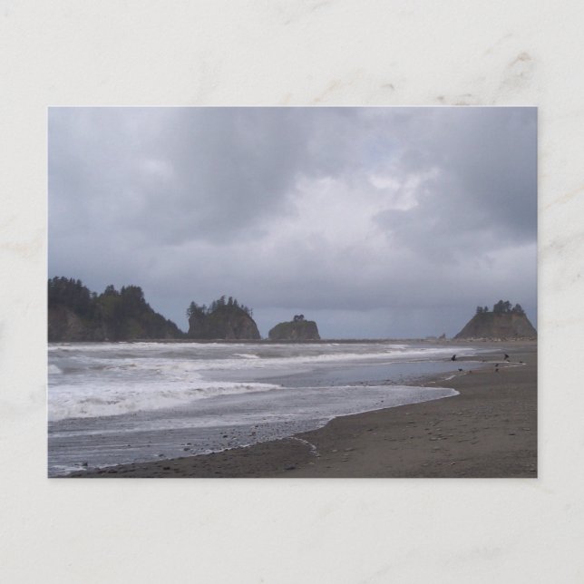 Postal Primera Playa De La Push (Anverso)