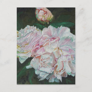 Postal Primeras floraciones 2012