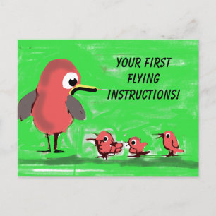 Postal Primeras instrucciones de vuelo
