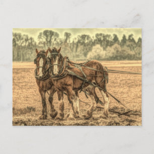 Postal Primitiva granja de animales de granja de campo oc