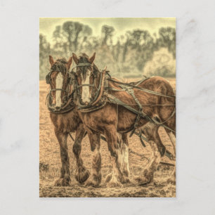 Postal Primitiva granja de animales de granja de campo oc