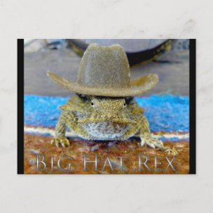 Postal Primo de Texe...bIg gorra rEx